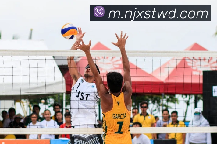 问鼎28APP 封面图